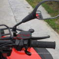 Erwachsene 4 X 4 ATV Quad-Bike 500cc chinesischen ATV Motorradmarke